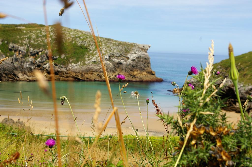 Penzion El Juacu Llanes Exteriér fotografie